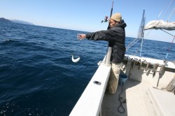 オーシャンズ 釣果