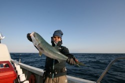 オーシャンズ 釣果