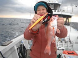 なぎさ丸 釣果