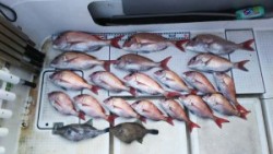 さぶろう丸 釣果