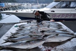 ハピネスⅡ 釣果