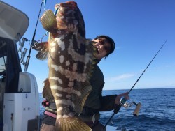 オーシャンキッズ 釣果