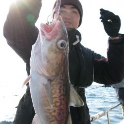 Aquanaut（アクアノート） 釣果