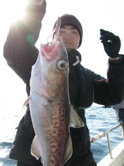 Aquanaut（アクアノート） 釣果