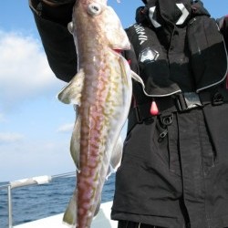 Aquanaut（アクアノート） 釣果