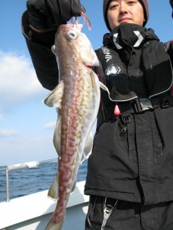 Aquanaut（アクアノート） 釣果