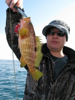 Aquanaut（アクアノート） 釣果