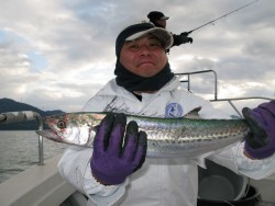 Aquanaut（アクアノート） 釣果