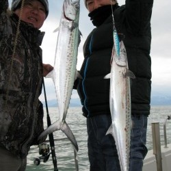 Aquanaut（アクアノート） 釣果