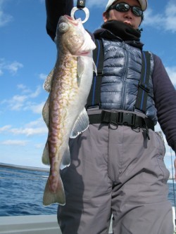 Aquanaut（アクアノート） 釣果