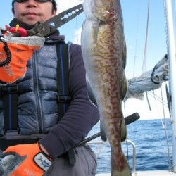 Aquanaut（アクアノート） 釣果