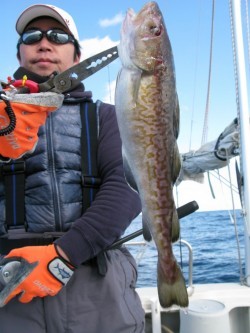 Aquanaut（アクアノート） 釣果