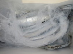 アジアマリンサービス 釣果