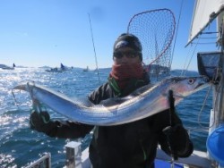 アジアマリンサービス 釣果