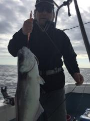 かいもん丸 釣果