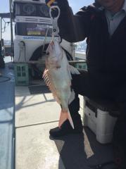 かいもん丸 釣果