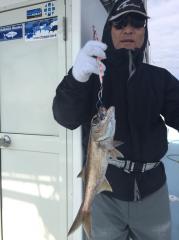 かいもん丸 釣果