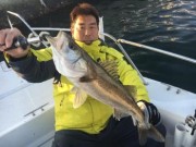 シーマジカル 釣果