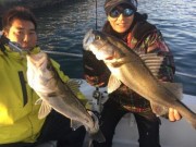 シーマジカル 釣果