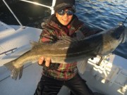 シーマジカル 釣果