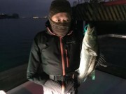 シーマジカル 釣果