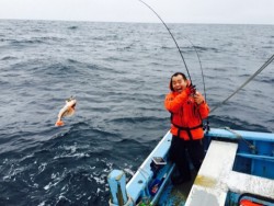 征海丸 釣果