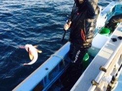 征海丸 釣果