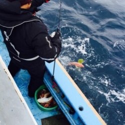 征海丸 釣果