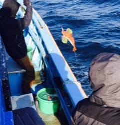 征海丸 釣果