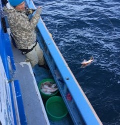 征海丸 釣果