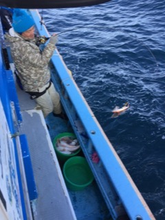 征海丸 釣果