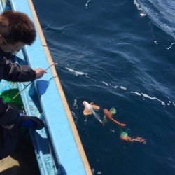 征海丸 釣果
