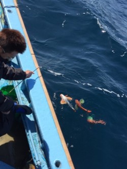 征海丸 釣果