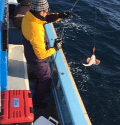 征海丸 釣果