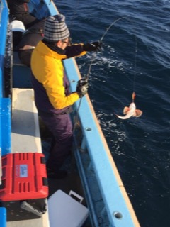 征海丸 釣果