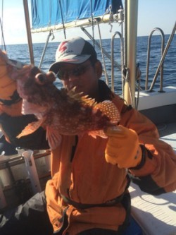 Blue.win 海人丸 釣果