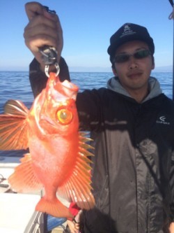 Blue.win 海人丸 釣果