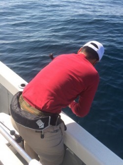 Blue.win 海人丸 釣果