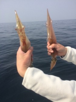 Blue.win 海人丸 釣果