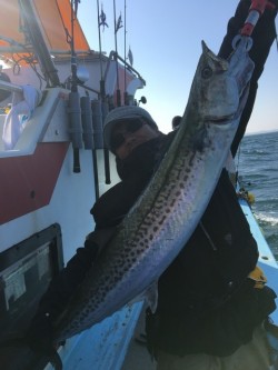 みやけ丸 釣果