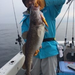 エヌスタイル 釣果