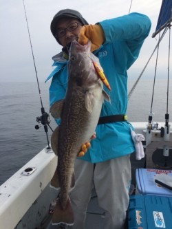 エヌスタイル 釣果