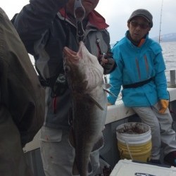 エヌスタイル 釣果