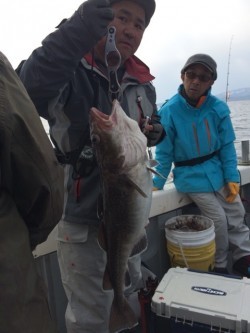 エヌスタイル 釣果