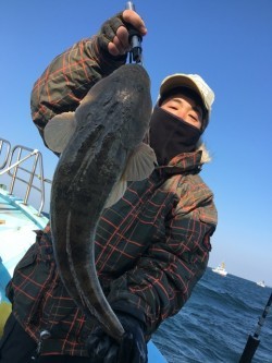 みやけ丸 釣果