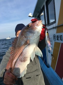 みやけ丸 釣果