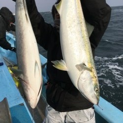みやけ丸 釣果