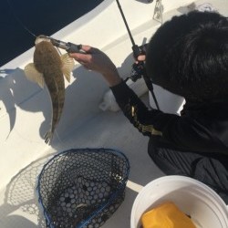 「LaGooN」蒼陽丸 日和号　 釣果