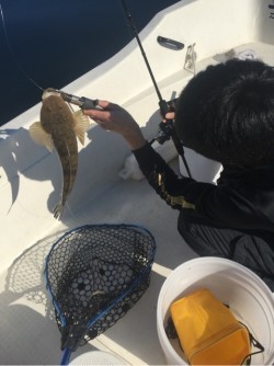 「LaGooN」蒼陽丸 日和号　 釣果