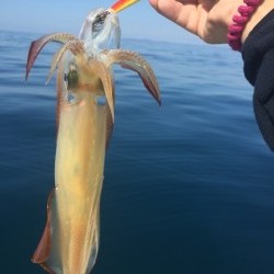 「LaGooN」蒼陽丸 日和号　 釣果